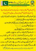 pakistan me siasi jmato ko siasi kiun kaha jata hy